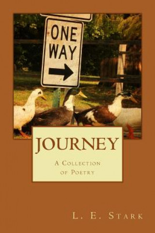 Kniha Journey L E Stark