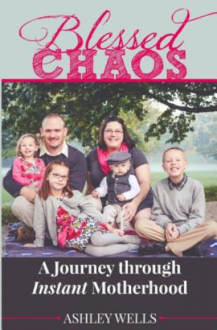 Kniha Blessed Chaos: A Journey through Instant Motherhood Ashley Wells