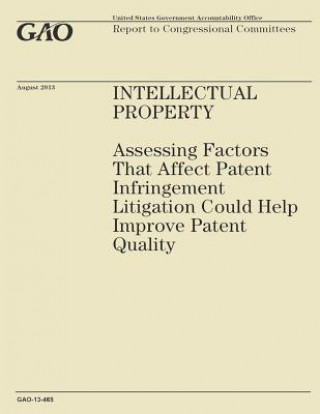 Kniha Intellectual Property: Assessing Factors That Affect Patent Infringement Litigation Could Help Improve Patient Quality Government Accountability Office