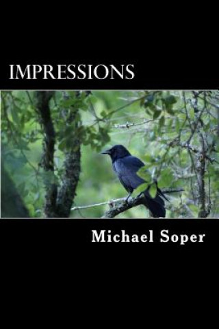 Βιβλίο Impressions Michael T Soper