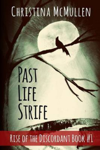 Kniha Past Life Strife Christina McMullen