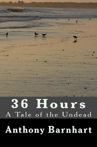 Kniha 36 Hours: the 2nd Edition Anthony Barnhart