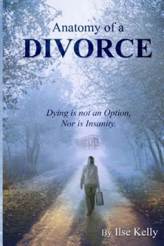 Könyv Anatomy of a Divorce: Dying is not an Option, nor is Insanity Ilse Kelly