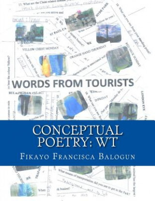 Buch Conceptual Poetry: WT: Words from Tourists Fikayo Francisca Balogun