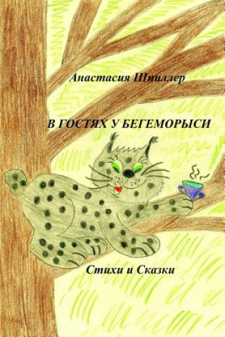 Kniha Visiting Hippolynx: Fairy Tales and Rhymes for Children Anastasiya Shpiller