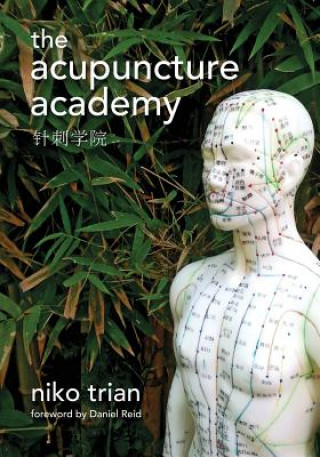 Книга Acupuncture Academy Niko Trian