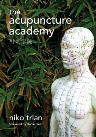 Boek Acupuncture Academy Niko Trian