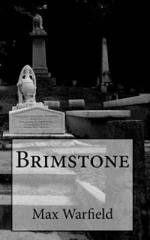 Libro Brimstone Max Warfield