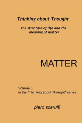 Buch Thinking about Thought 3 - Matter Piero Scaruffi