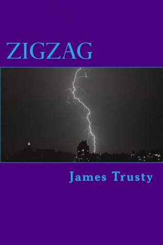 Buch Zigzag MR James Howard Trusty