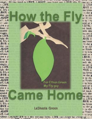 Kniha How the Fly Came Home Lashasta Green