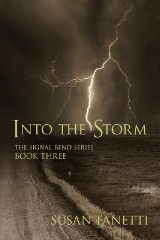 Knjiga Into the Storm Susan Fanetti