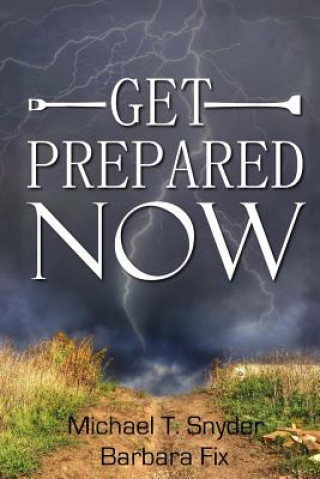 Kniha Get Prepared Now!: Why A Great Crisis Is Coming & How You Can Survive It Michael Snyder