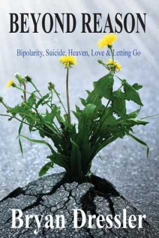 Carte Beyond Reason: Bipolarity, Suicide, Heaven, Love & Letting Go MR Bryan R Dressler