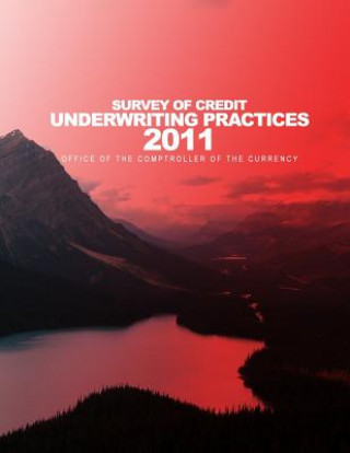 Kniha 2011 Survey of Credit Underwriting Practices Comptroller of the Currency