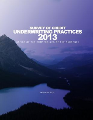 Kniha 2013 Survey of Credit Underwriting Practices Office of the Comptroller of the Currenc