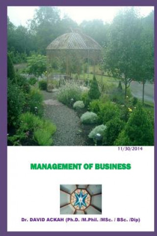 Kniha Management of Business: Business Management Dr David Ackah
