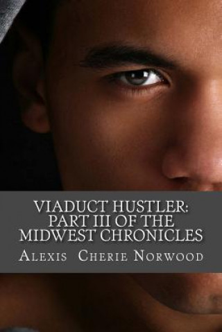 Carte Viaduct Hustler: Part III of the Midwest Chronicles Alexis Cherie Norwood