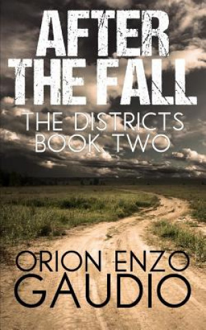 Buch After the Fall Orion Enzo Gaudio