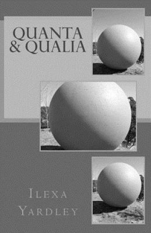 Kniha Quanta & Qualia Ilexa Yardley