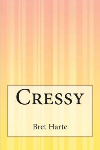Knjiga Cressy Bret Harte