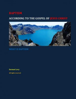 Libro BAPTISM, According to the Gospel of JESUS CHRIST: What is Baptism Dermot Levy