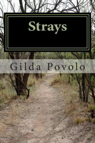 Knjiga Strays Gilda Povolo