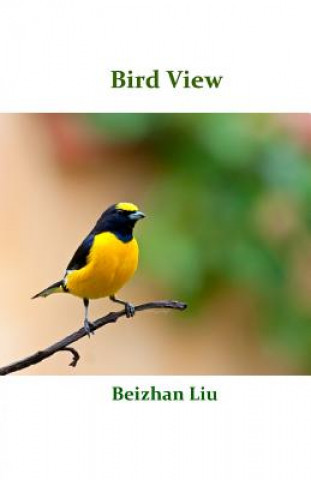 Book Bird View Beizhan Liu
