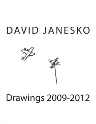 Kniha Drawings 2009-2012 David Janesko