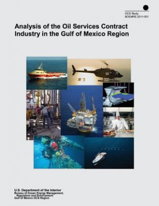 Kniha Analysis of the Oil Services Contract Industry in the Gulf of Mexico Region U S Department of the Interior
