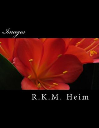 Buch Images R K M Heim