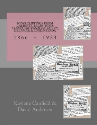 Könyv News Clippings from Caliente, Elgin, Hiko, Alamo, Pahranagat Valley, Delamar & Lund, Nevada: 1866 - 1924 Kaylene Canfield