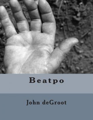 Boek Beatpo MR John deGroot