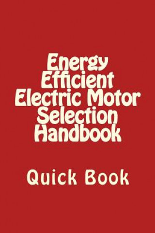 Kniha Energy Efficient Electric Motor Selection Handbook: Quick Book A Bhatia