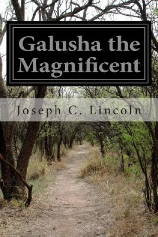 Книга Galusha the Magnificent Joseph C Lincoln