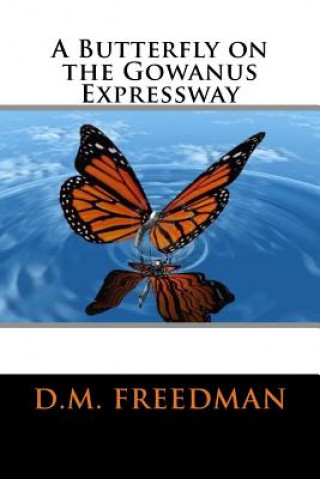 Книга A Butterfly on the Gowanus Expressway D M Freedman