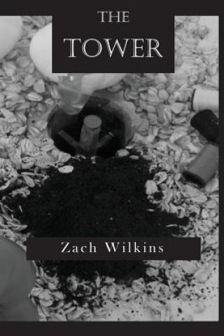 Book The Tower Zach Wilkins