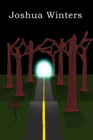 Knjiga Dead Ends Joshua Winters