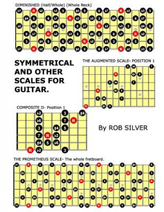 Book Symmetrical and Other Scales for Guitar Rob Silver