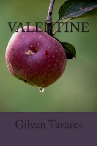 Boek Valentine Gilvan Tavares