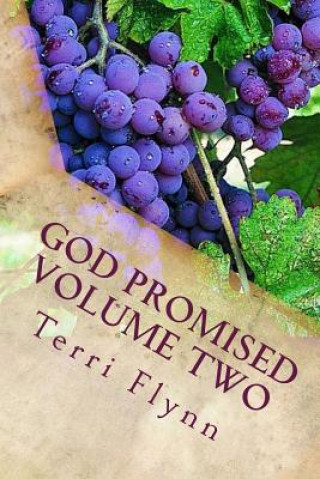 Kniha God Promised Volume Two: Proclaiming the Word Over Terri Flynn