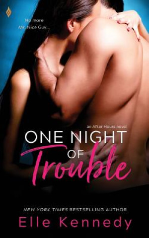 Kniha One Night Of Trouble Elle Kennedy