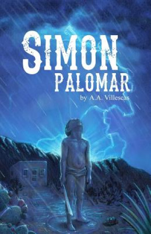 Knjiga Simon Palomar A a Villescas