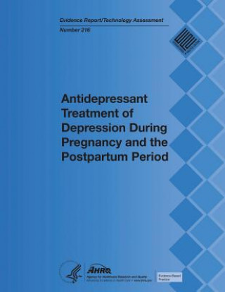 Książka Antidepressant Treatment of Depression During Pregnancy and the Postpartum Period: Evidence Report/Technology Assessment Number 216 Agency for Healthcare Resea And Quality