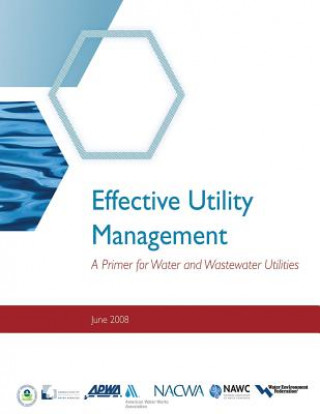 Knjiga Effective Utility Management: A Primer for Water and Wastewater Utilities Environmental Protection Agency