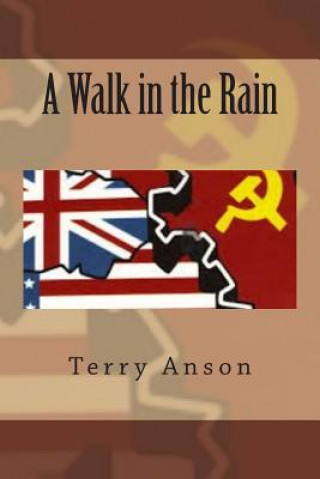 Könyv A Walk in the Rain Terry Anson