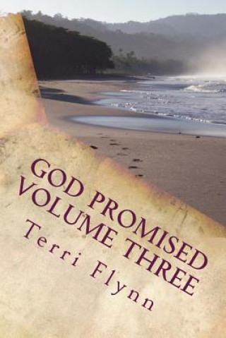 Kniha God Promised Volume Three: Proclaiming the Word Over Terri Flynn