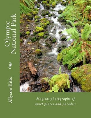 Kniha Olympic National Park: Magical photographs of quiet places and paradise Allyson K Kitts
