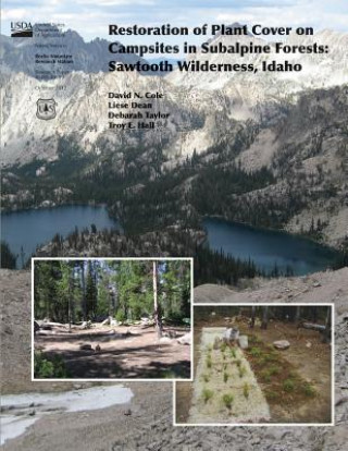 Kniha Restoration of Plant Cover on Capsisites in Subalpine Forests: Sawtooth Wildernes, Idaho United States Department of Agriculture