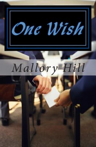 Kniha One Wish Mallory Hill